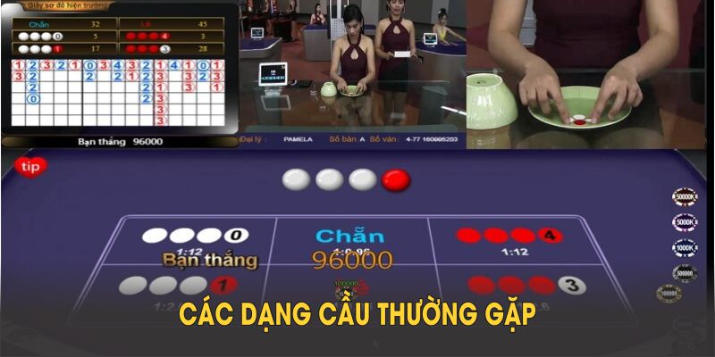 Các dạng cầu thường gặp khi chơi xóc đĩa